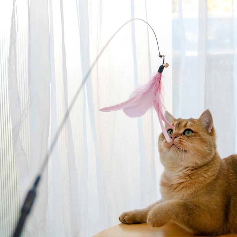 Interactive Cat Stick Toy - Retractable Laser Teaser Wand for Cats