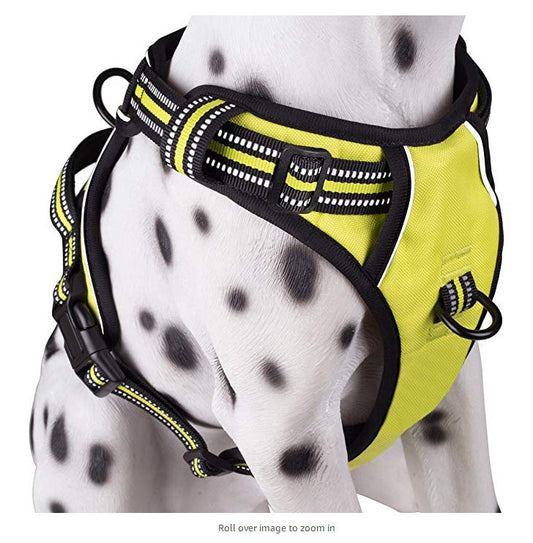 Premium No-Pull Dog Harness - Medium & Large Dogs