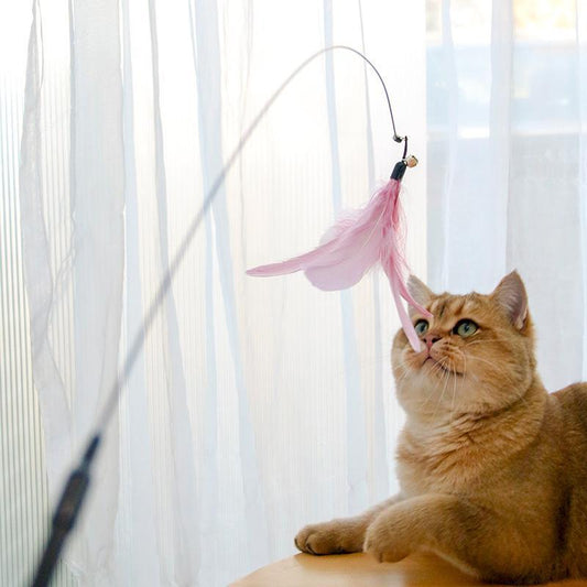 Interactive Cat Stick Toy - Retractable Laser Teaser Wand for Cats